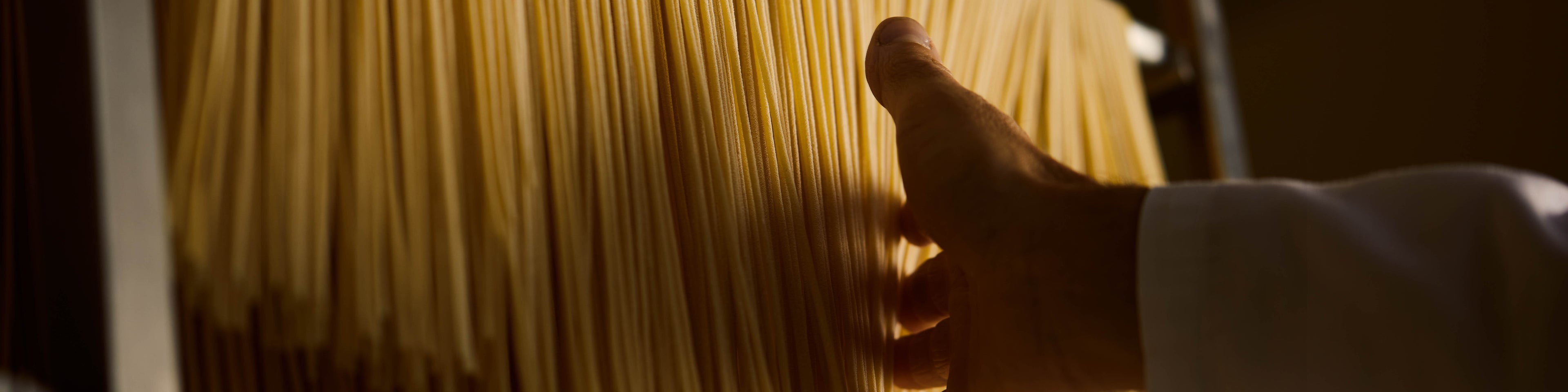 collection-banner-image