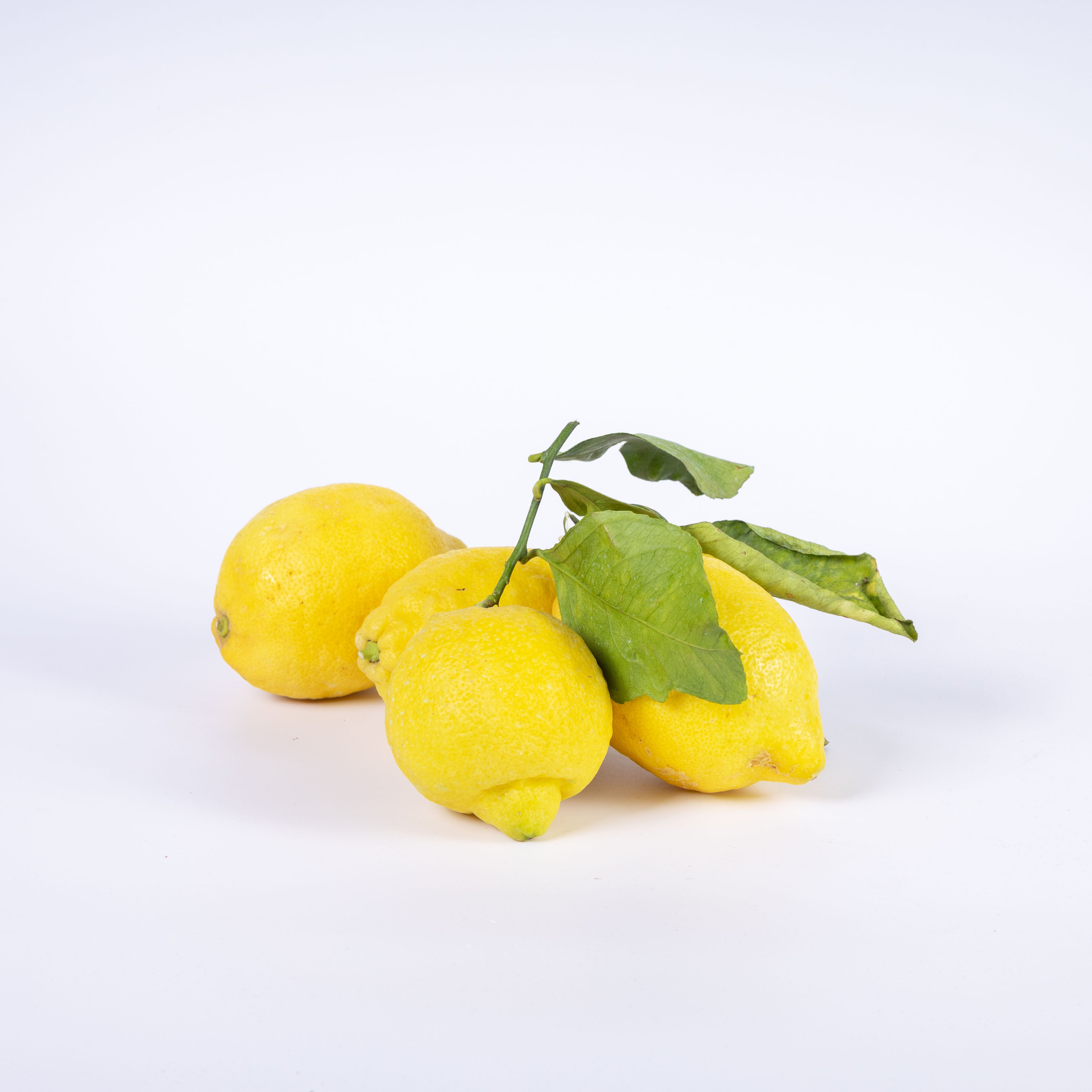 Limone di Sorrento 1kg