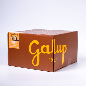 Galup Panettone con Crema Gianduja