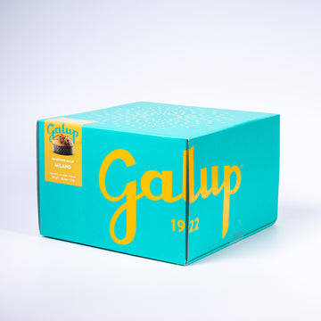 Galup Panettone Milano