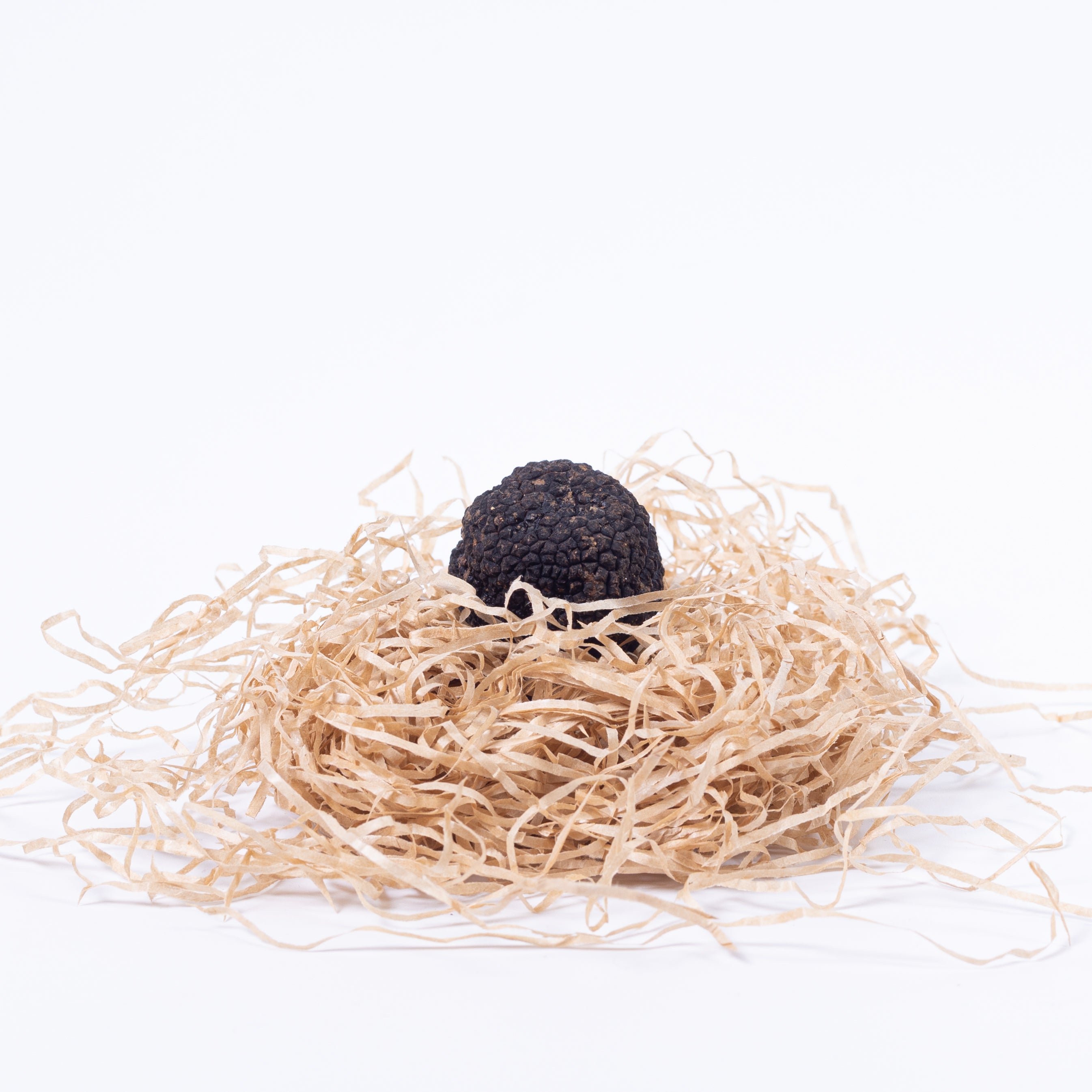 Tartufo Nero Pregiato – Périgord-Trüffel (Tuber melanosporum)