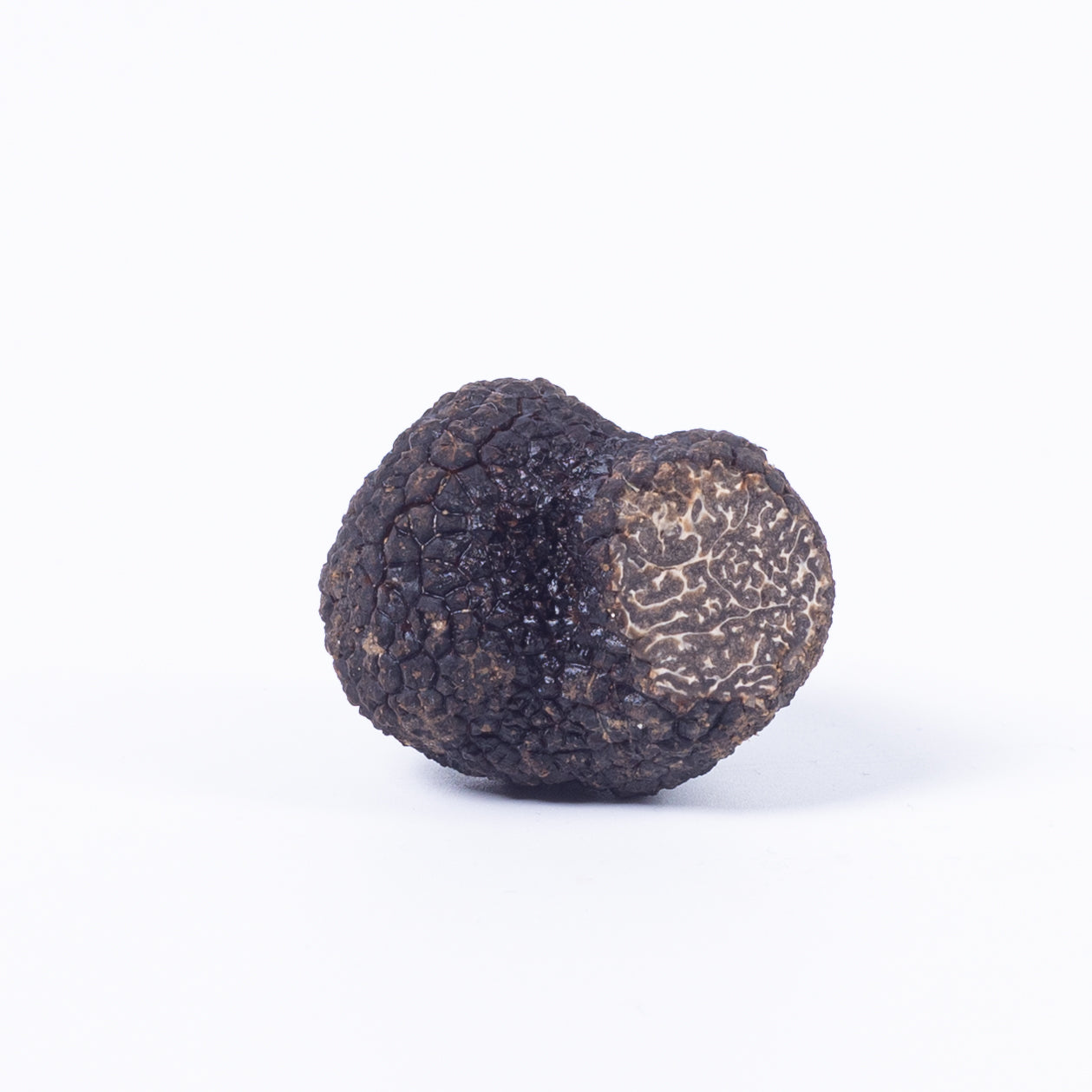 Tartufo Nero Pregiato – Périgord-Trüffel (Tuber melanosporum)
