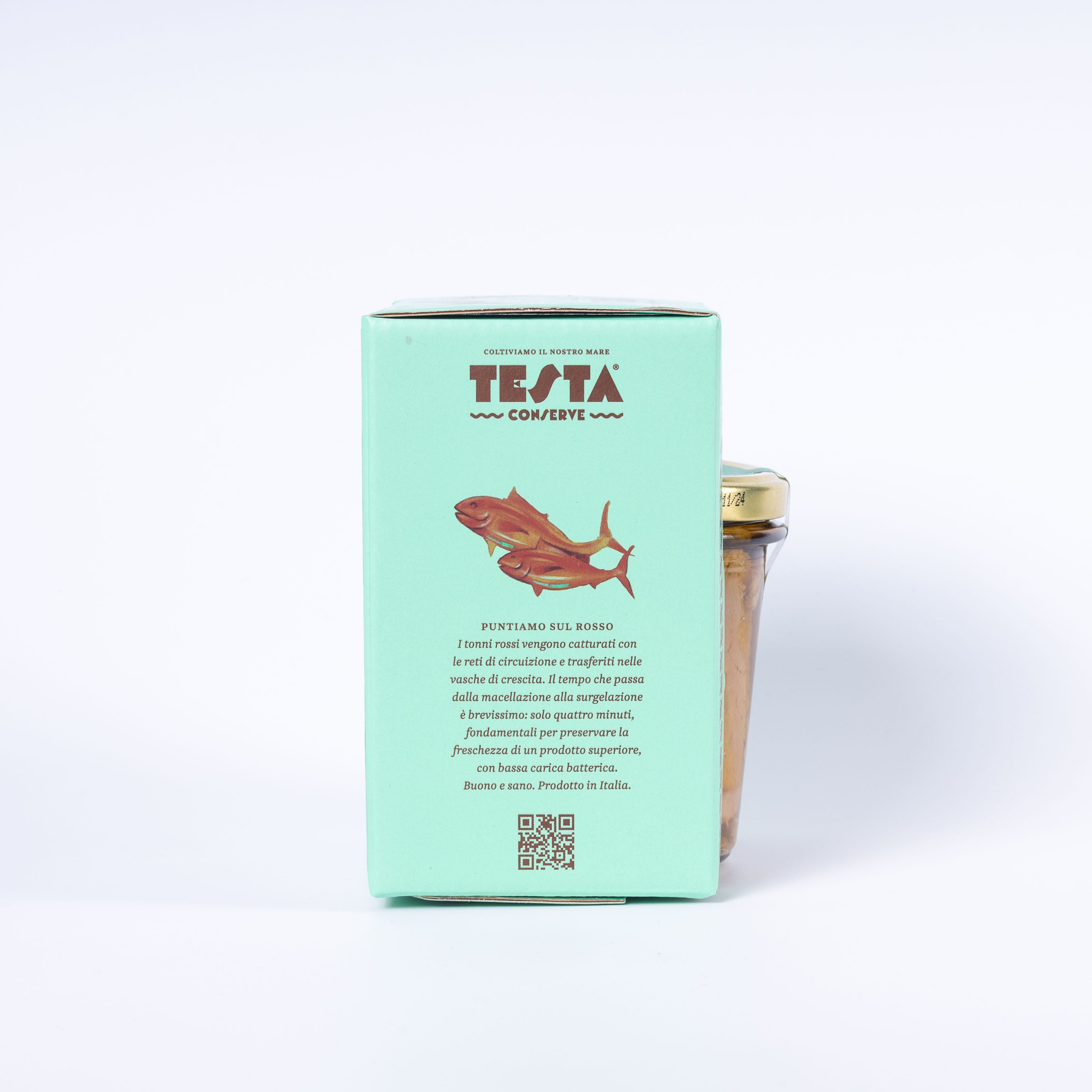 Testa Tonno rosso in Olivenöl