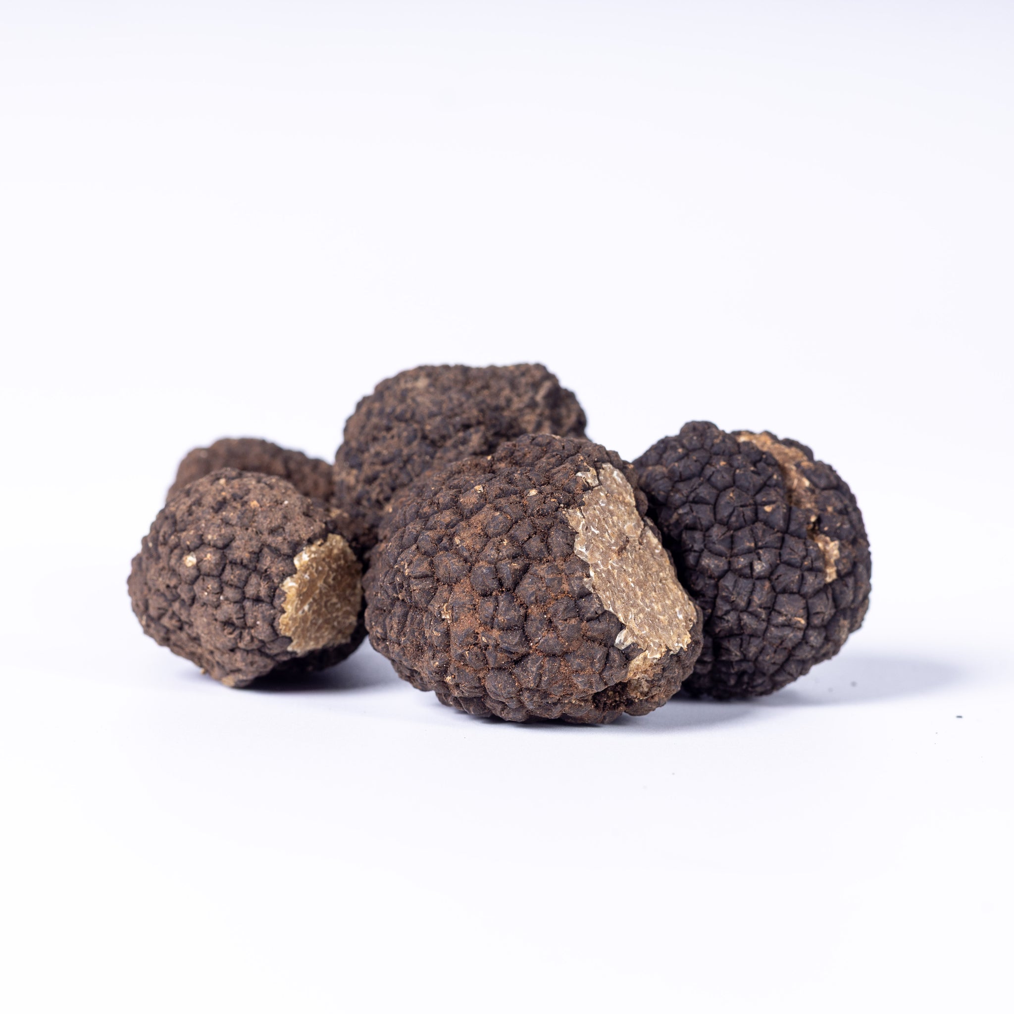 Schwarze Herbst-/Frühwintertrüffel - Tuber Uncinatum
