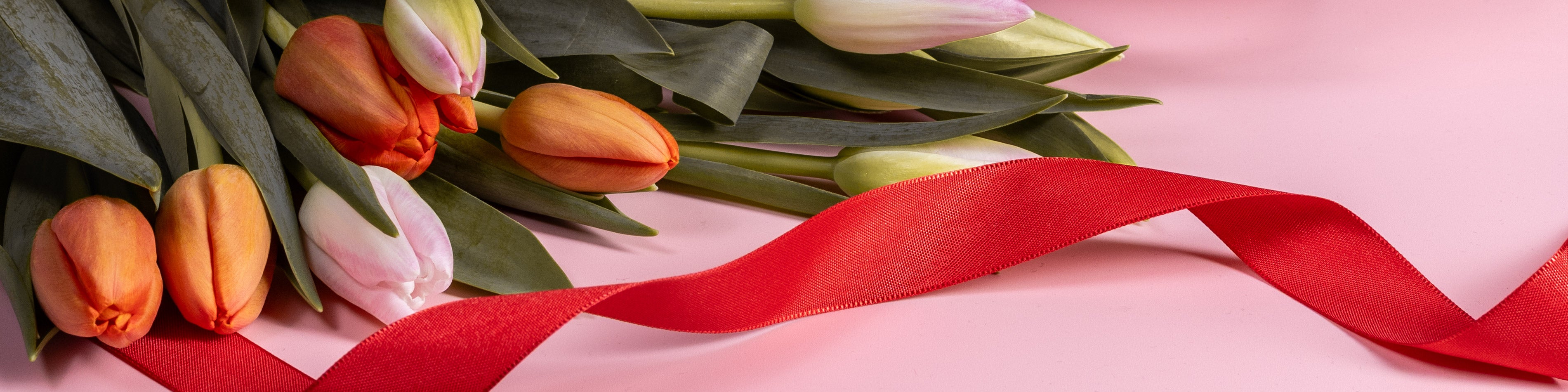 collection-banner-image